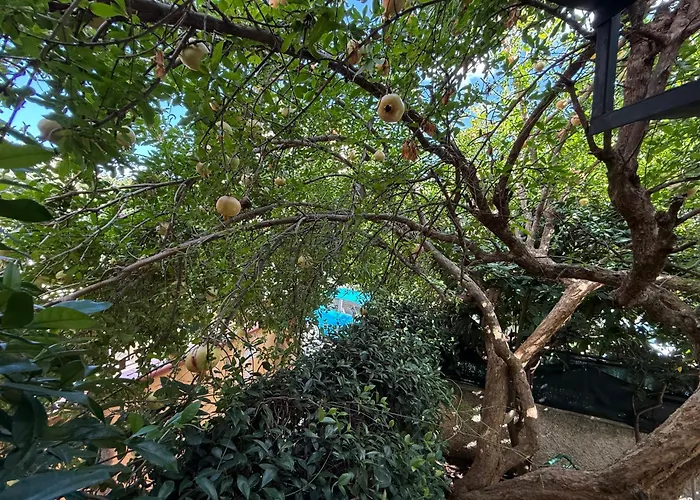 Casa de Férias In A Pietragrande Mi Vida Stalettì