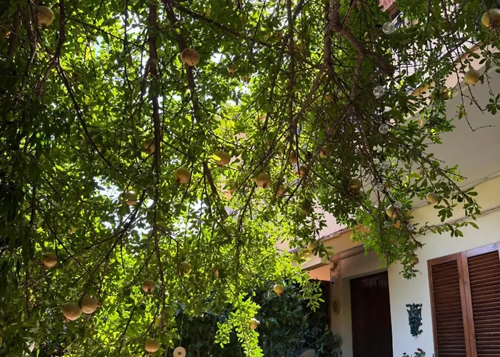 In A Pietragrande Mi Vida Casa de Férias Stalettì