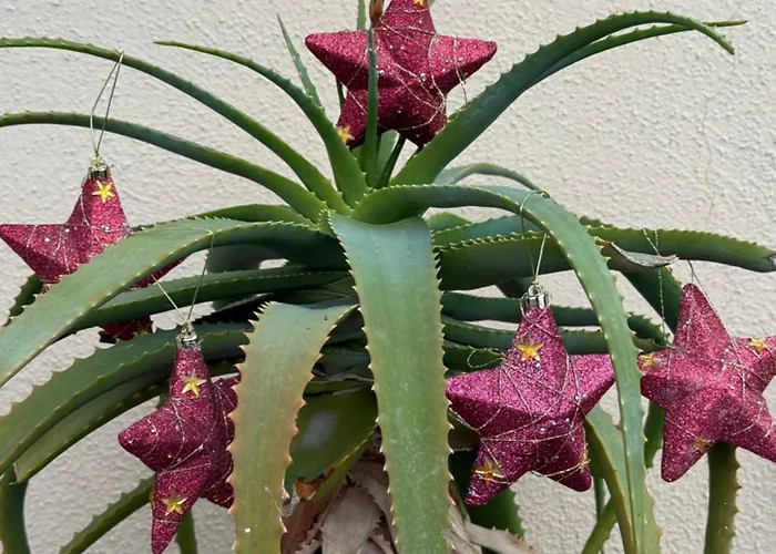 In A Pietragrande Mi Vida Casa de Férias