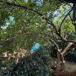 Vakantiehuis In A Pietragrande Mi Vida Stalettì