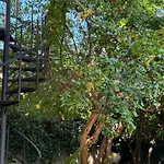 Vakantiehuis In A Pietragrande Mi Vida