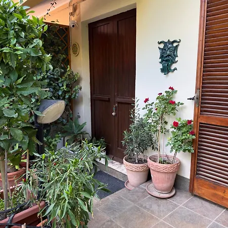 In A Pietragrande Mi Vida *