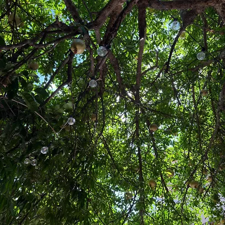 In A Pietragrande Mi Vida