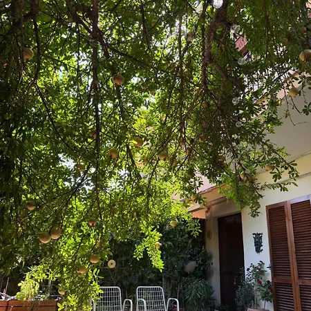 In A Pietragrande Mi Vida בית נופש Stalettì