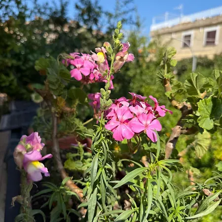 In A Pietragrande Mi Vida Stalettì