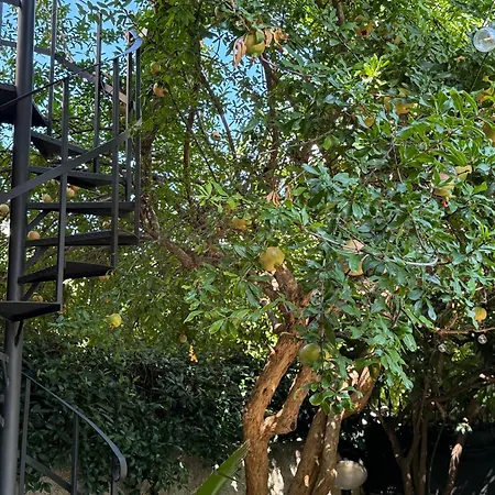 בית נופש In A Pietragrande Mi Vida