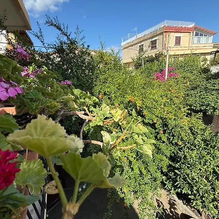 In A Pietragrande Mi Vida