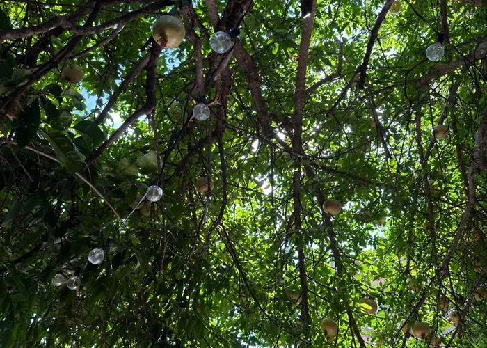 In A Pietragrande Mi Vida