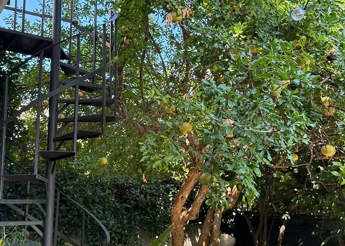 Casa de Férias In A Pietragrande Mi Vida