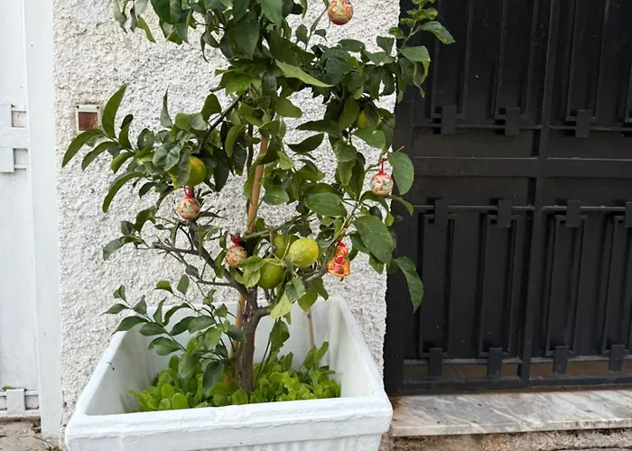 In A Pietragrande Mi Vida * Stalettì